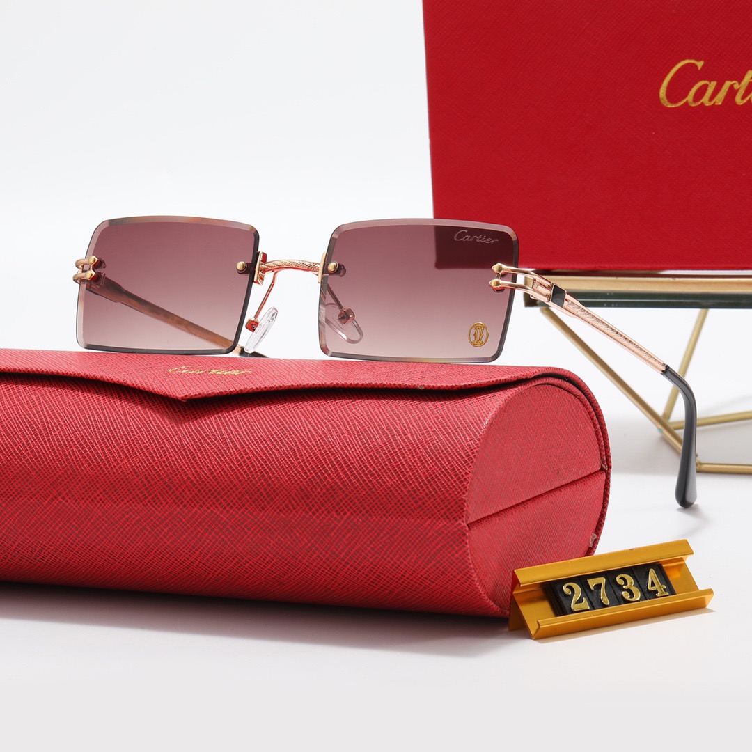 Cartier sunglasses-C5911S